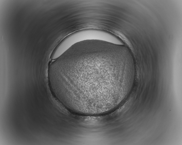 X0000088850938200707061030