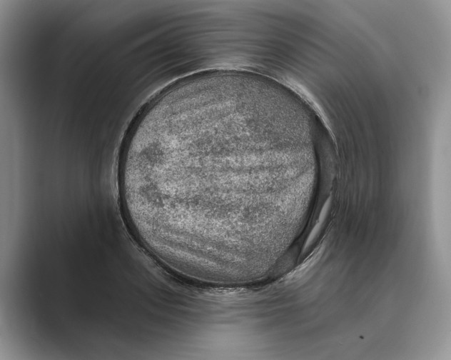 X0000088850939200707061030
