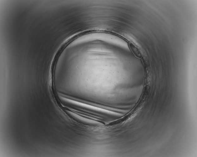 X0000088850940200707061030