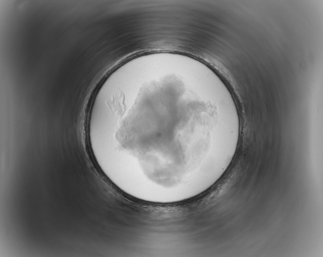 X0000088850941200707061030