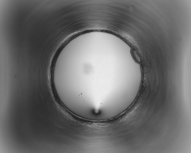 X0000088850942200707061030
