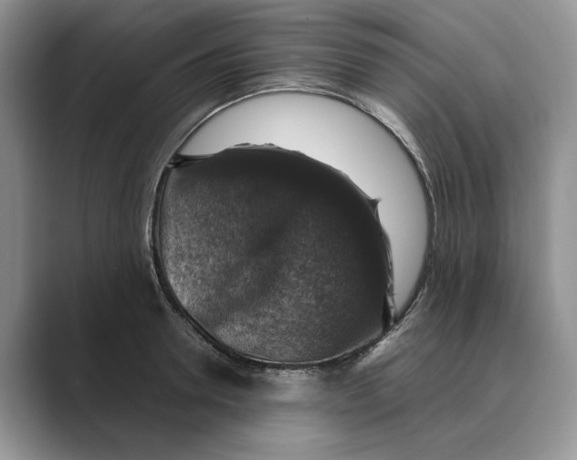 X0000088850946200707061030
