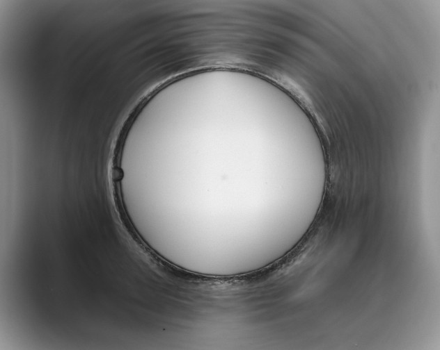 X0000088850947200707061030