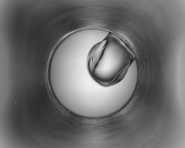 X0000088850948200707061030