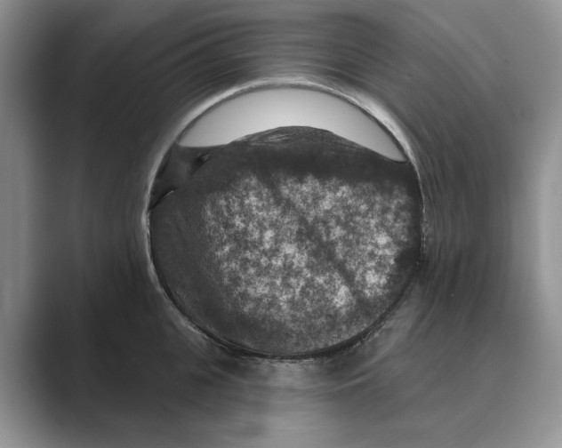 X0000088850951200707061030