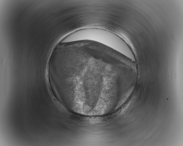 X0000088850952200707061030