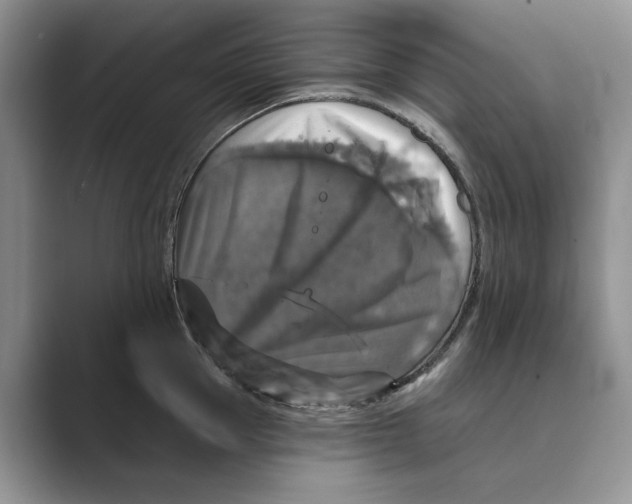 X0000088850953200707061030