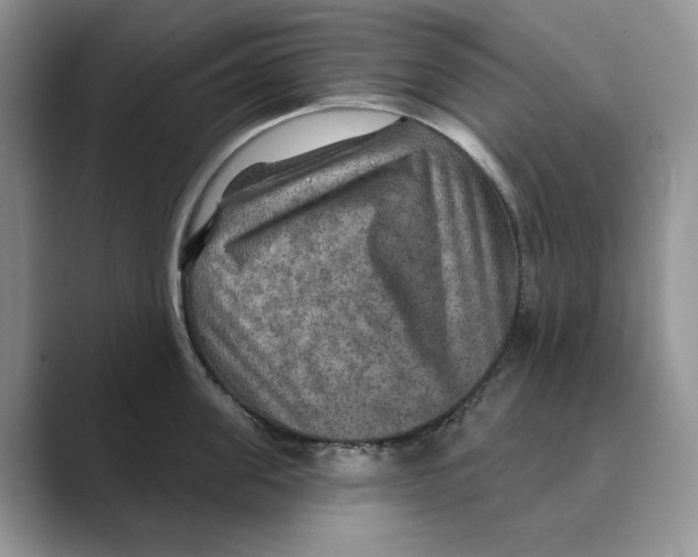 X0000088850955200707061030