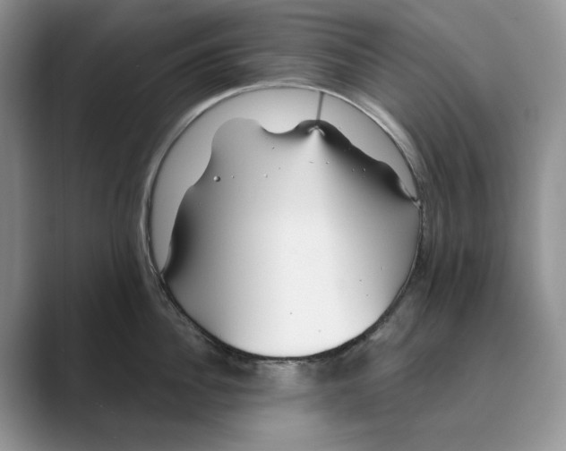 X0000088850956200707061030