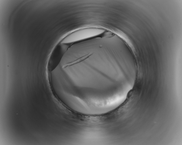 X0000088850958200707061030