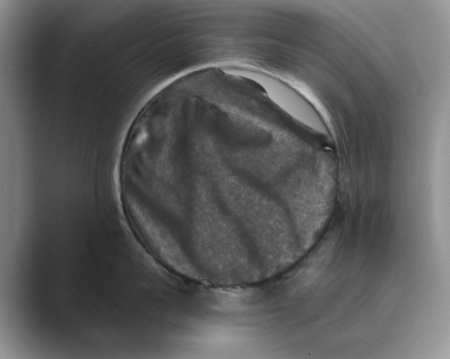 X0000088850959200707061030