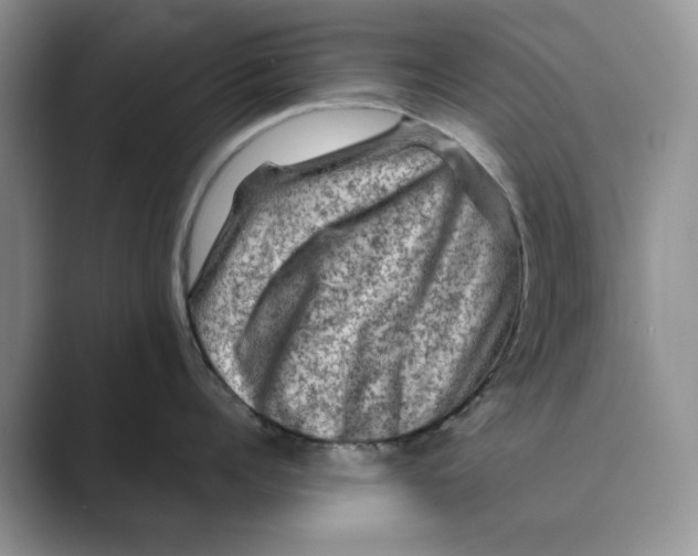 X0000088850960200707061030