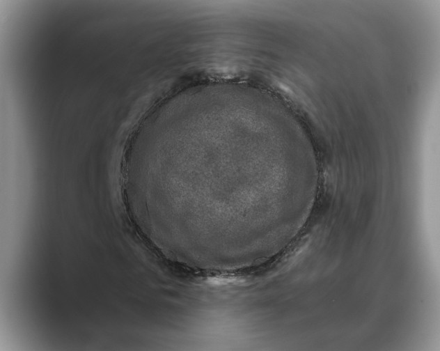 X0000088850961200707061030