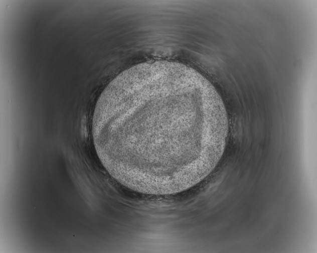 X0000088850962200707061030