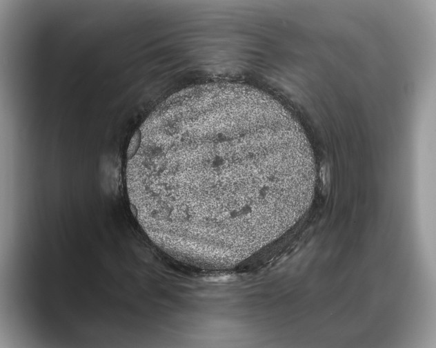 X0000088850963200707061030
