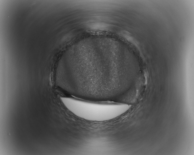 X0000088850965200707061030