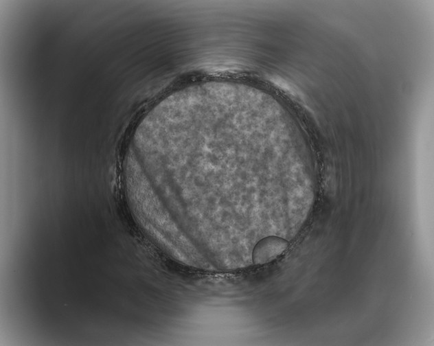 X0000088850966200707061030