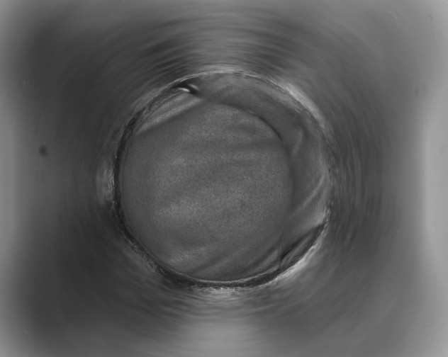 X0000088850969200707061030