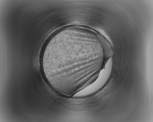 X0000088850972200707061030