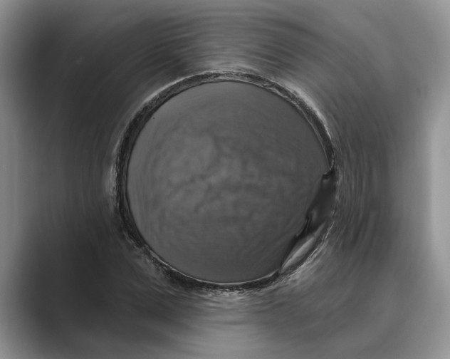 X0000088850975200707061030
