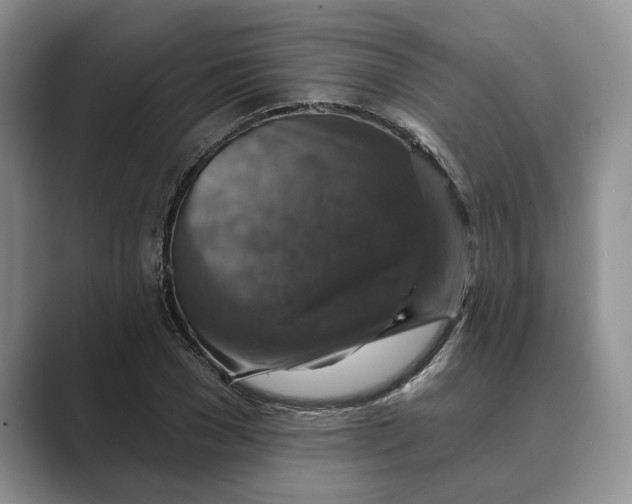 X0000088850977200707061030