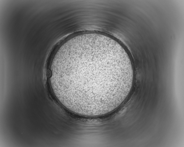 X0000088850979200707061030