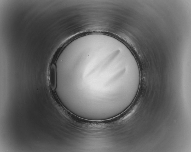 X0000088850981200707061030