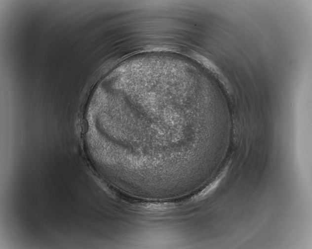 X0000088850985200707061029