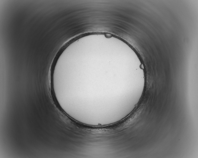 X0000088850988200707061029