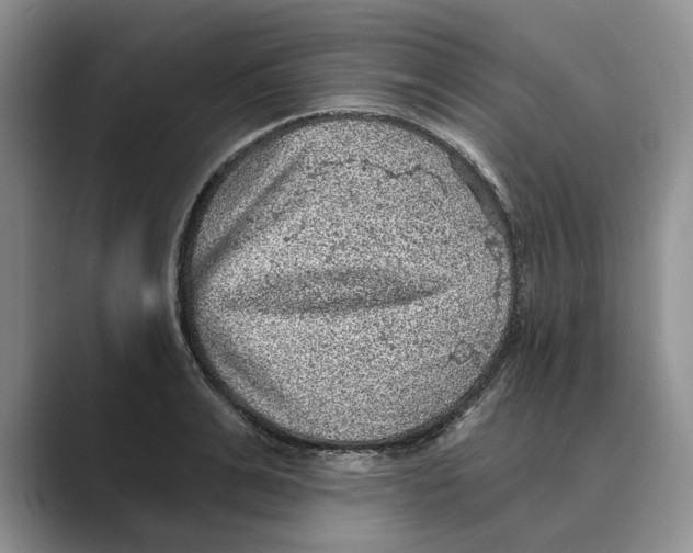 X0000088850991200707061029