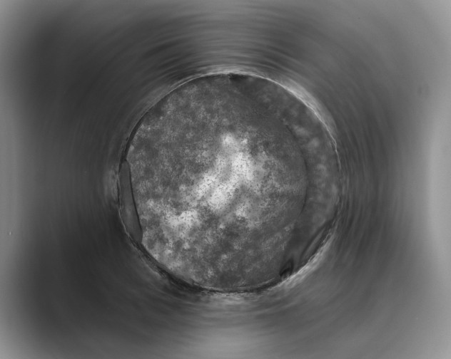 X0000088850993200707061029