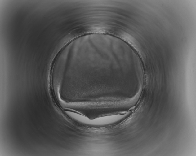 X0000088850994200707061029