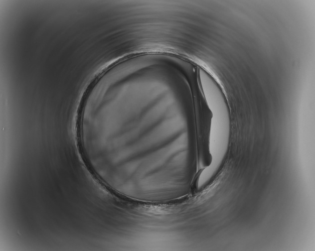 X0000088850995200707061029
