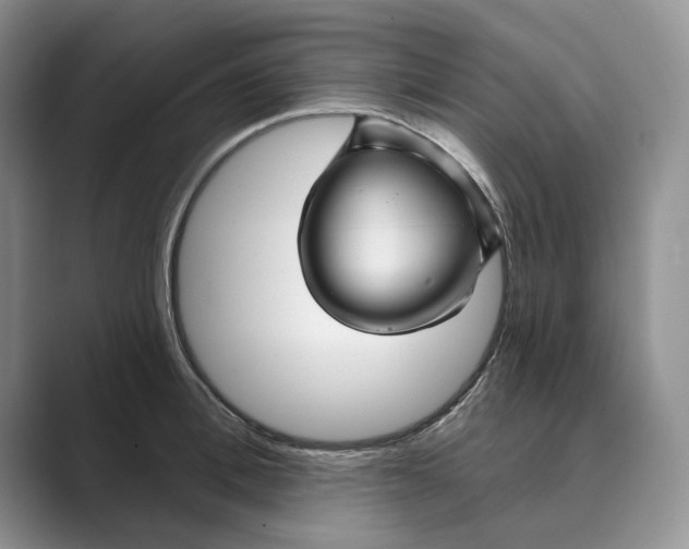 X0000088850996200707061029