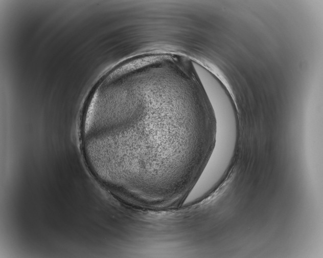 X0000088850997200707061029