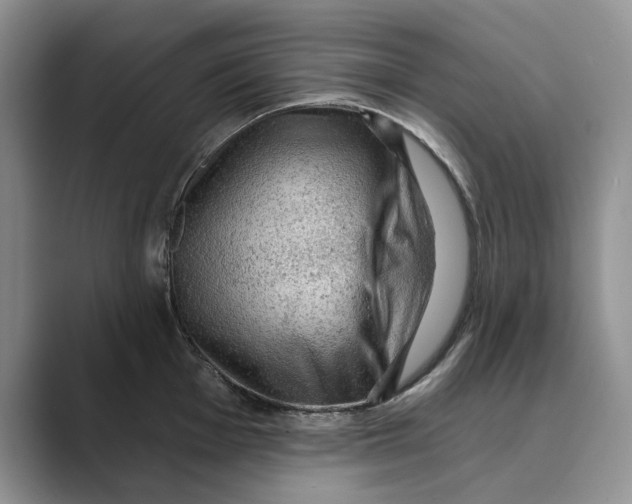 X0000088851001200707061029