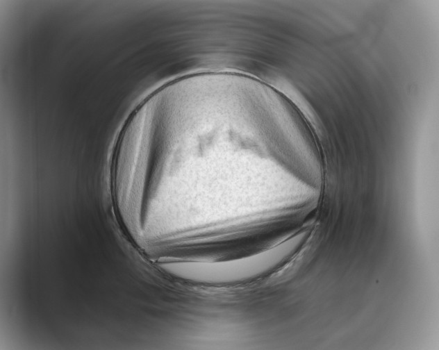 X0000088851004200707061029