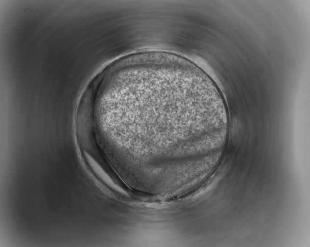 X0000088851005200707061029