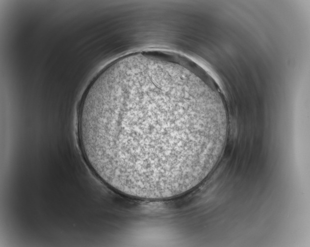 X0000088851006200707061029