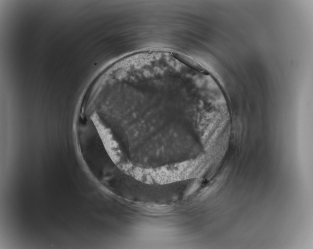 X0000088851007200707061029