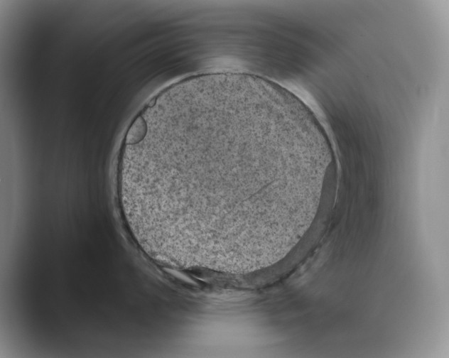 X0000088851008200707061029