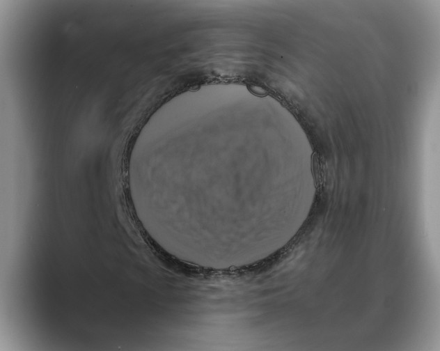 X0000088851009200707061029