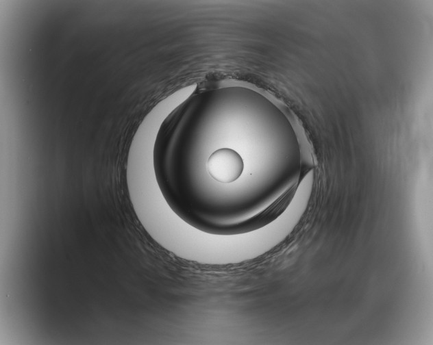 X0000088851010200707061029