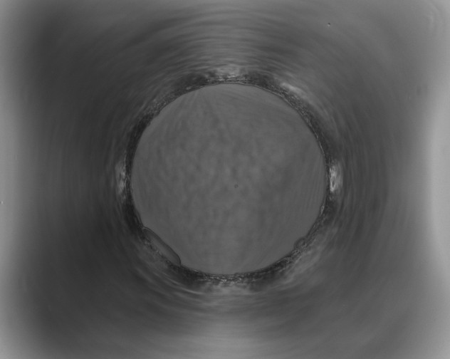 X0000088851011200707061029