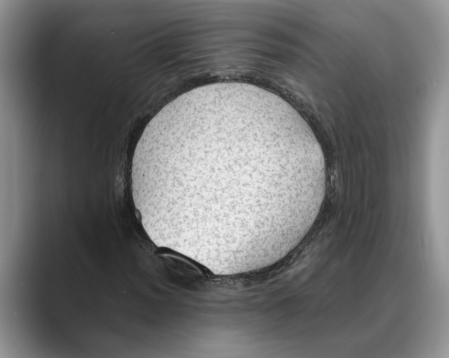 X0000088851012200707061029
