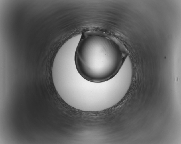 X0000088851014200707061029