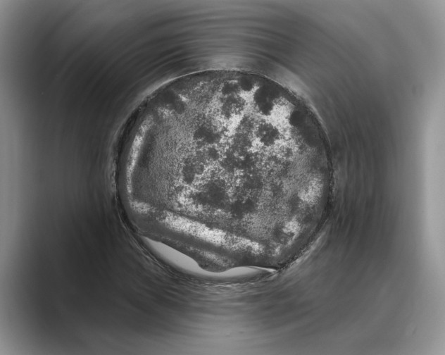 X0000088851019200707061029