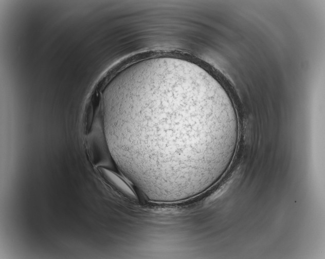 X0000088851021200707061029