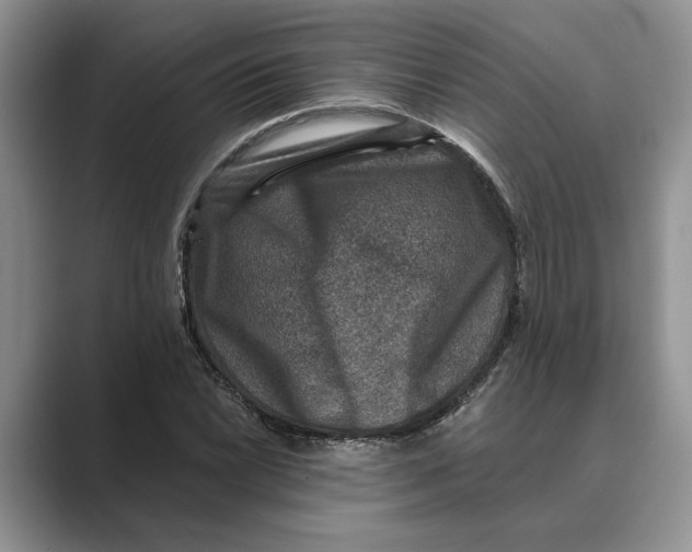 X0000088851022200707061029