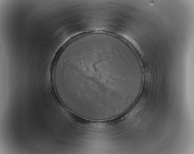 X0000088851023200707061029